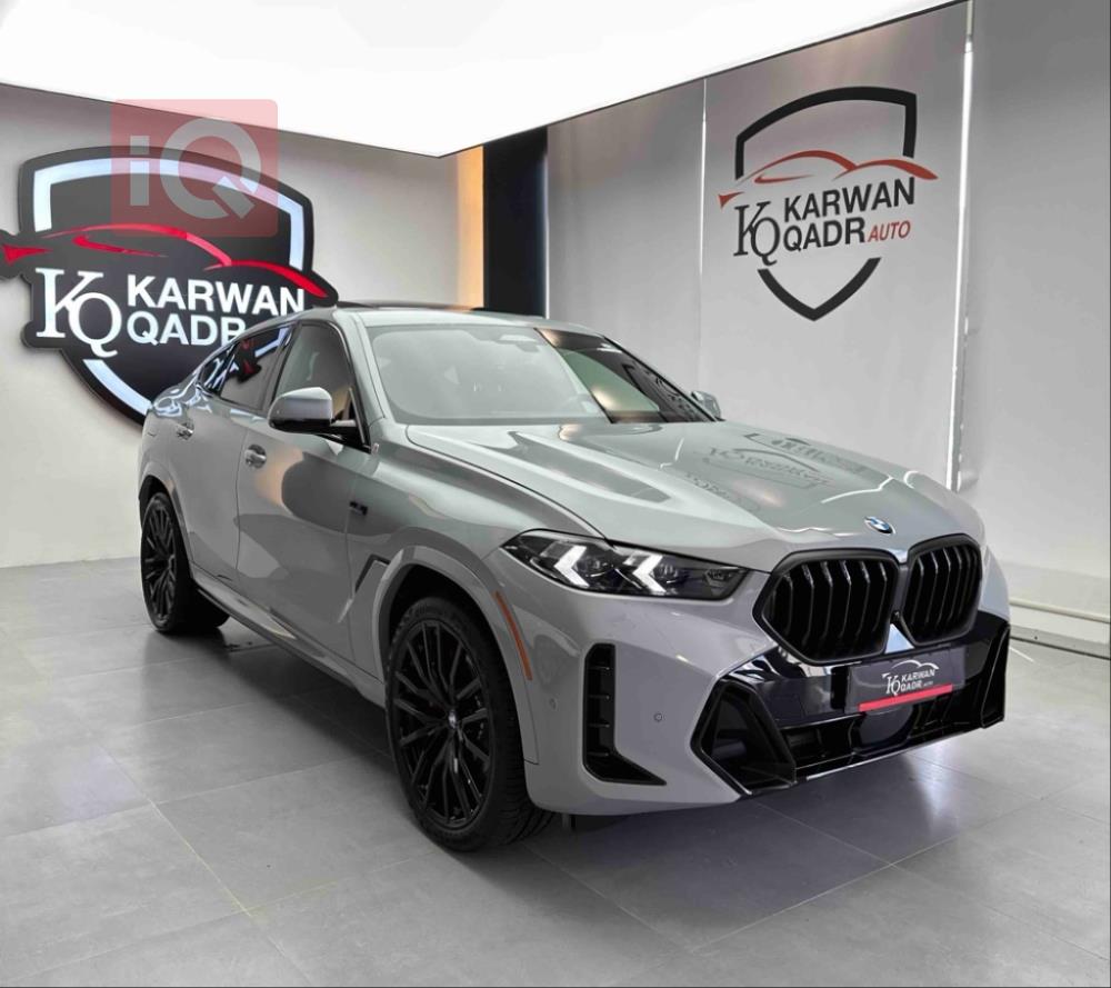 BMW X6